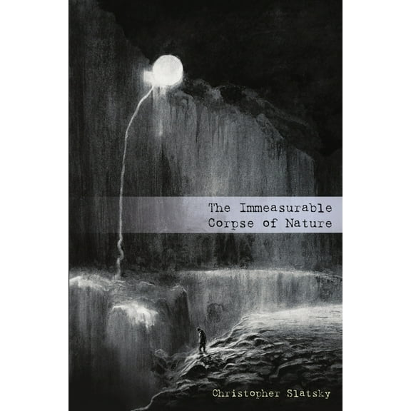 The Immeasurable Corpse of Nature, (Paperback)