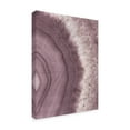 thumbnail image 2 of Trademark Fine Art 'Agate Geode II Plum' Canvas Art by Wild Apple Portfolio, 2 of 3
