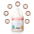 thumbnail image 3 of Ginger Lily Farms Botanicals Moisturizing Shampoo for All Hair Types, Champagne Mimosa, 100% Vegan & Cruelty-Free, Citrus Blend Scent, 1 Gallon (128 fl oz) Refill, 3 of 6