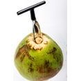 thumbnail image 5 of Ken's CocoMon Coconut Opener Tool + Stainless Straw for Fresh GREEN Young Fruit Black Rubber Handle EZ Easy Grip SAFE with Stainless Steel Drinking Straws, 5 of 9