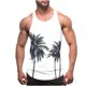 thumbnail image 1 of Camisetas de Tanque de los Hombres Tanque de los Hombres Incolor Gradiente de Impresión Cuello Redondo Correa Delgada Fuga Atrás Regular Casual Deportes Blusas de Tanque, 1 of 4