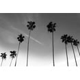 thumbnail image 2 of Prime, Marcus 18x13 Black Ornate Wood Framed with Double Matting Museum Art Print Titled - Passerby Palms, 2 of 4