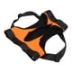 thumbnail image 5 of Eslinga portátil para perros, eslinga para perros para ayuda de elevación trasera, eslinga para perros que mejora su experiencia, 5 of 9