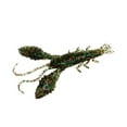 thumbnail image 1 of LOVIVER Leurre de Crevettes Réaliste 3D Craw Craw y Senteur Leurre Vert, 1 of 5