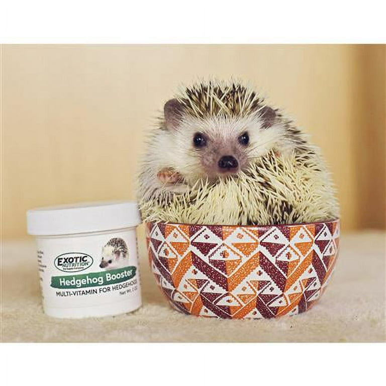 Miniature Hedgehog Habitat No Fuss Desk Pet for Kid or Adult