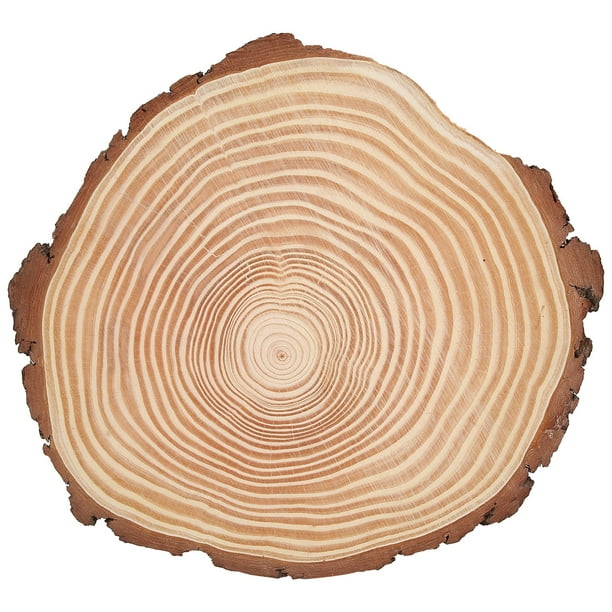 Bois et écorce > Ruban de bois grande largeur couleur naturelle x 3