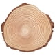 thumbnail image 1 of Rodajas de madera natural, círculos de madera sin terminar, adornos irregulares con corteza, 29 x 26 cm (11,4 x 10,2 pulgadas), 1 of 14