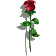 Wall-Ahhh! 3-D Floating Rose Wall Decor Decal