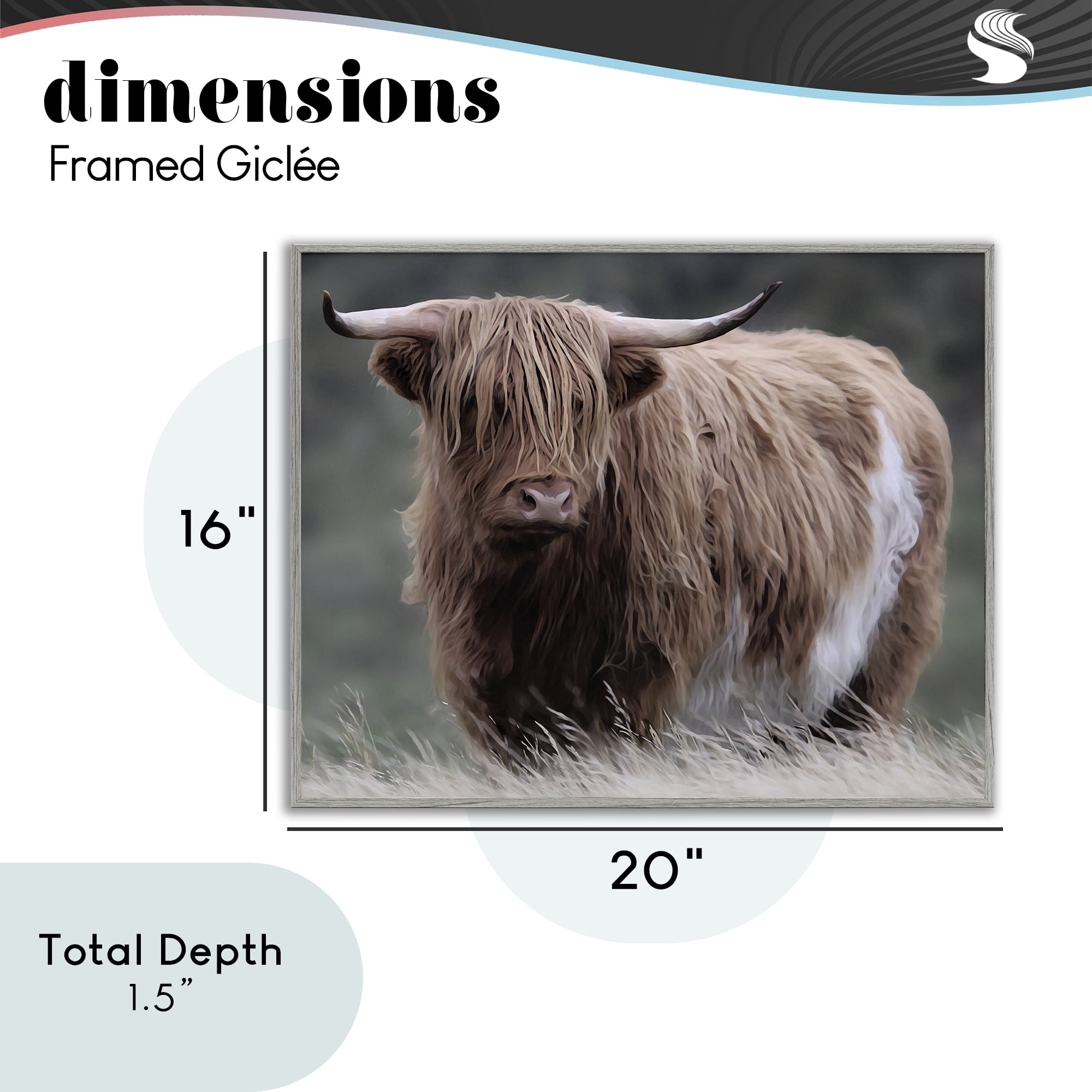 Stupell Industries Wandering Harry Highland Cattle Gray Framed Giclee Art, design by Marcus Prime