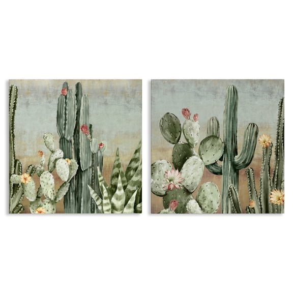 Stupell Industries Cactus Blooms Among Thorns 2 Piece Canvas Wall Art Set design by Luna Mavis, 17 x 17