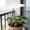 White, variant on CaiYueKe Small Plant Umbrellas for Outdoor Plants, Garden Umbrella Shade for Potted Plants, Garden Beds Shade Cover, Sun Shade Cloth for Plants, Provide Shade to Defend Plants from Blazing Sun