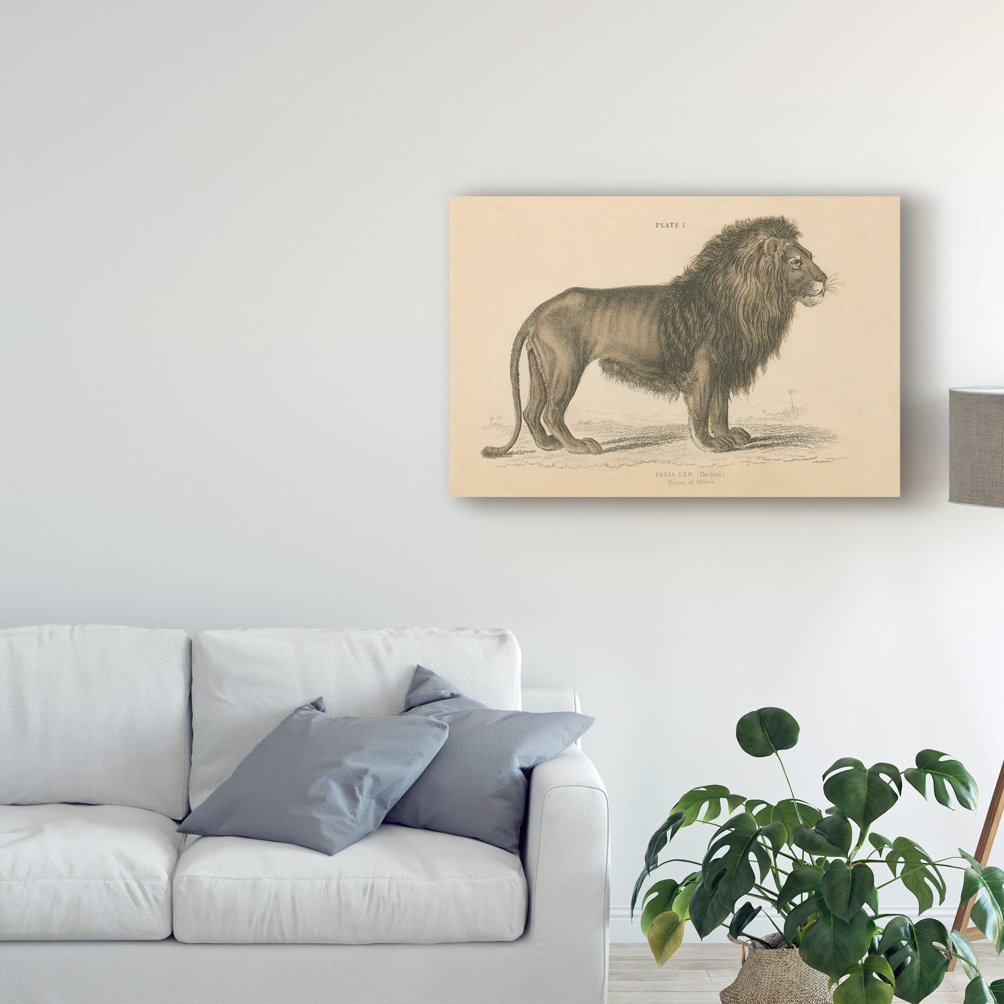 Trademark Fine Art 'Vintage Lion' Canvas Art by Wild Apple Portfolio