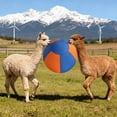 View all media