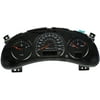 Dorman 599-303 Reman Instrument Clusters