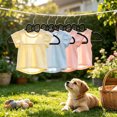 thumbnail image 6 of 10 Pcs Hangers,Bow Style Special‑Shaped Garment Hangers for Small Size Clothing and Pet Apparel,Closet Organizer and Space Saving, 6 of 6