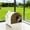 White#5, variant on Dog Bed, Cat Litter Box,Stainless Steel Litter Scoop, Gray,Silver Large Dog Bed,Polypropylene,Stainless Steel Orthopedic Dog Bed, Pet Supplies Pet Beds & Furniture Cat Litter Box,Stainless Steel Litt