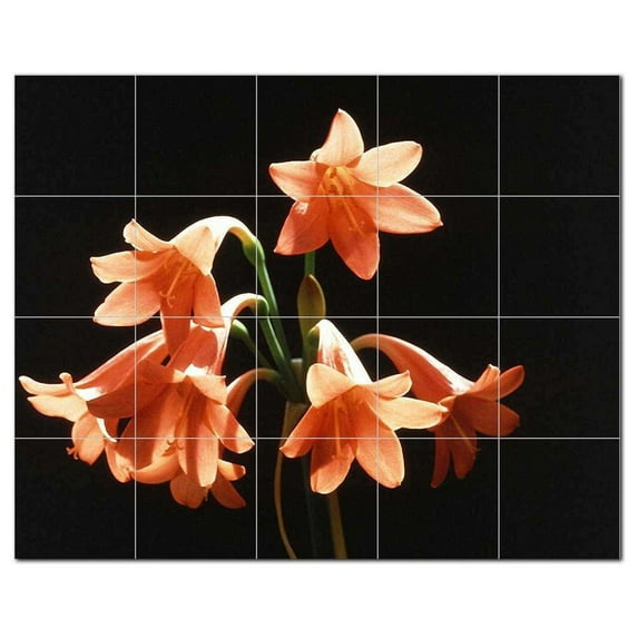 Flowers Usda Ceramic Tile Mural Kitchen Backsplash Bathroom Shower, 405090-XL54