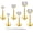 Gold, variant on 20G Flat Back Earrings Stud G23 Titanium Threadless Tragus Labret Cartilage Lip Medusa Conch Body Piercing Jewelry Hypoallergenic for Women Men
