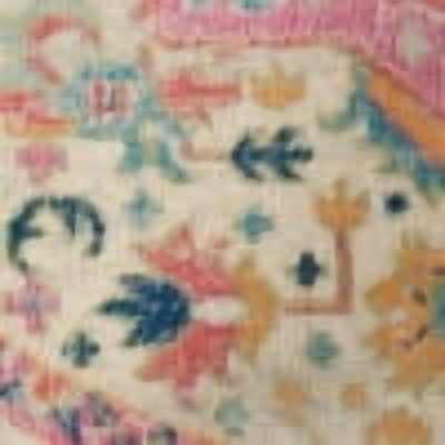 Nourison Passion Ivory/Pink 9' x 12' Area Rug, Transitional, Boho, Bed Room, Living Room, Dining Room, Kitchen, , Easy Cleaning, Non Shedding (9' x 12')