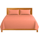 thumbnail image 1 of Sábanas King Size Lisas We2 Dream 100% Algodón Color Salmón Atardecer 4 Piezas, 1 of 10