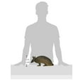 thumbnail image 2 of Design Toscano Tank la Statue de Jardin Armadillo, Multicolore, 2 of 4