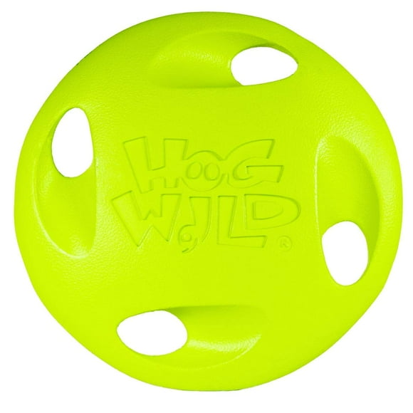Hog Wild StuntDisk Flying Disc Toy - Perform Amazing Tricks & Spins - Outdoor Disk Game for Lawn Beach & More - Throw Toss & Catch - Kids & Adults 8+