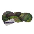 thumbnail image 2 of Malabrigo Fil Mérinos Superwash, Rios, 2 of 49