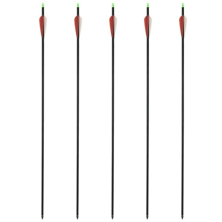 5pcs/set Fishing Hunting Arrows Fit Recurve Bow Compound Bow Slingshot