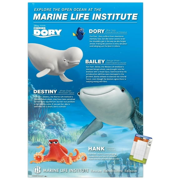 Disney Pixar Finding Dory - Group Wall Poster, 14.725" x 22.375"