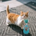 thumbnail image 3 of BotaniNest Jouets pour Chats d'Intérieur Gobelet avec Baguette Interactive et Jouets à Mâcher (Jouet pour Chat), 3 of 6