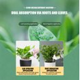 thumbnail image 6 of Plant Insecticidal Water Emulsion Spray, 16.7 OZ Ultra Efficient Garden Insecticide for Indoor & Outdoor Plants, Kills Whiteflies & Caterpillars, Safe for Vegetables, Flowers & Houseplants, 6 of 7