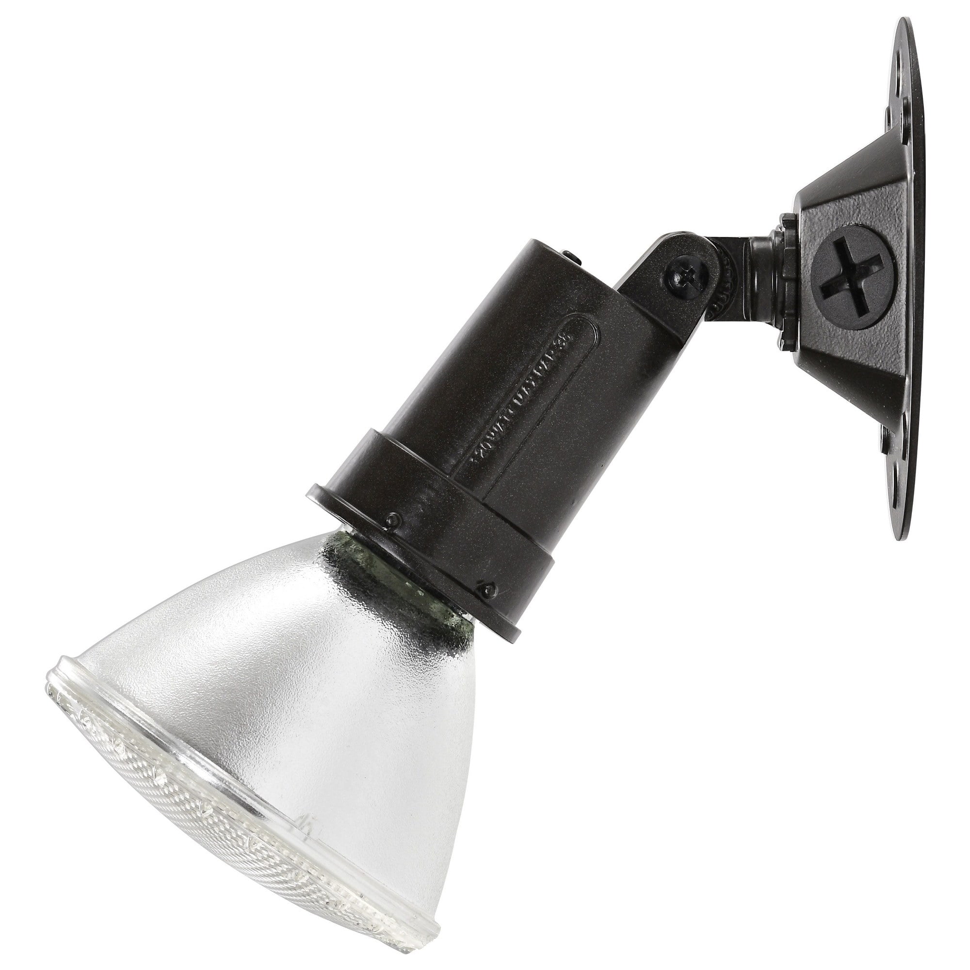 1 Light - 5" - Flood Light, Exterior - PAR38 w/Adjustable Swivel