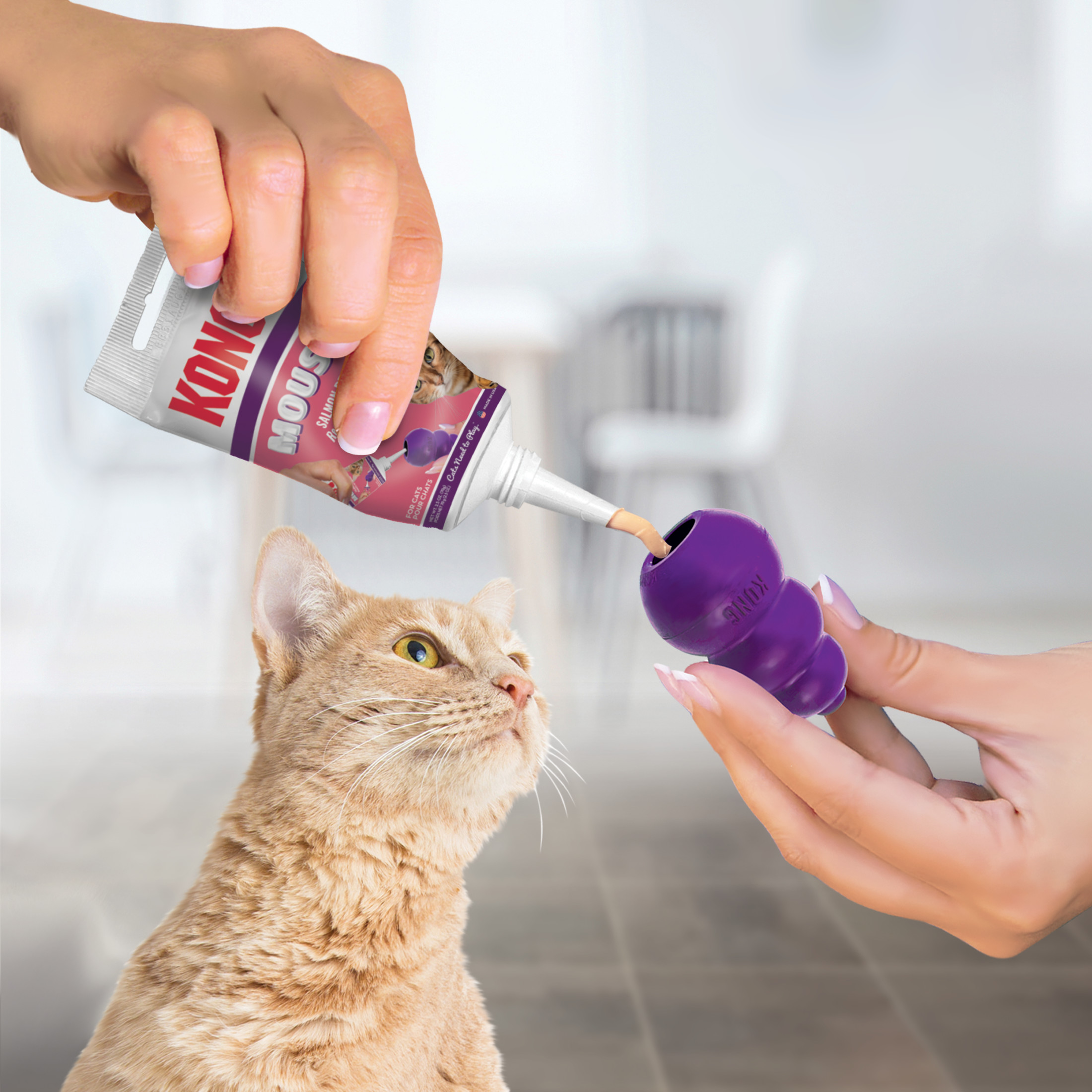 KONG® Mousse Cat Treat, Use w/ Your Kitty KONG or Treat-Dispensing Toys, Salmon, 2.5 Ounce