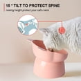 thumbnail image 3 of Cuencos elevados de cerámica para gatos, cuenco elevado para comida y agua para gatos, cuenco inclinado para proteger la columna vertebral, 3 of 5