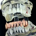 thumbnail image 4 of 14k Rose Gold Plated Fang Grillz Bottom 8 Eight Teeth Vampire Hip Hop Grills, 4 of 7