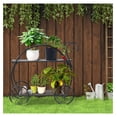 thumbnail image 3 of Metal Plant Stand, Two Tiered Garden Cart Shelf for Indoor Outdoor Home Garden Patio, Parisian Style Flower Pot Holder, Stable and Durable, 3 of 9