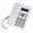 White, variant on Fixed Landline Phone Desktop Telephone for Corporate Offices and Hospitality Caller Identification Energy Saving