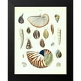 thumbnail image 2 of Brookes, Samuel 19x24 Black Modern Framed Museum Art Print Titled - Shells, Plate 5, 2 of 5