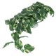 thumbnail image 5 of Ratán De Planta Simulada Respetuoso Con El Medio Ambiente De Plantas Acuáticas, Ratán De Planta De Plástico Seguro Para Reptiles, Para Acuario, 5 of 7