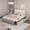 Light gray + white, variant on LED Upholstered Platform Bed Frame with 2 Storage Drawers, Adjustable Double Wave Velvet Headboard No Box Spring