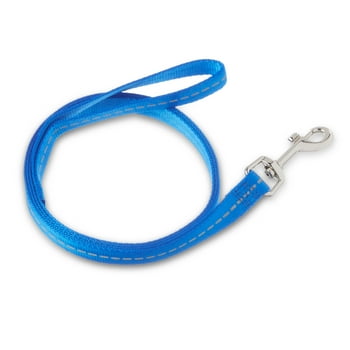 Vibrant Life Solid Nylon Dog Leash, Blue, Small, 5 feet