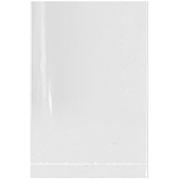 Plymor 2" x 3" (Case of 5,000), 2 Mil Flat Open Clear Plastic Poly Bags