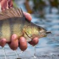 thumbnail image 2 of 10 piezas de señuelos de pesca de 75 mm y 6 g con anzuelo de jig y cebo de pesca blando, 2 of 6