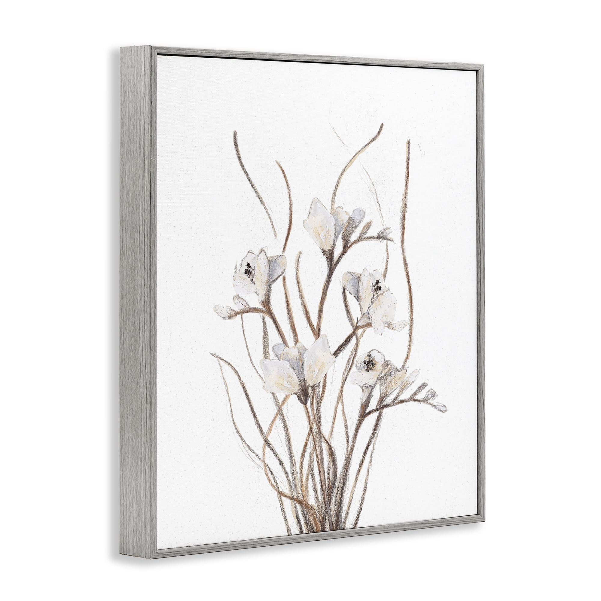 Stupell Industries Curly Branches on White Gray Framed Giclee Art, design by Lanie Loreth