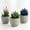 2, variant on mirlewaiy Potted Faux Succulents, 3 Pack Decorative Artificial Cactus Plants