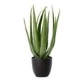 thumbnail image 1 of Vickerman FO182301 25 in. Green Potted Aloe Vera Pot, 1 of 2