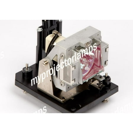 Digital Projection 113-311 Projector Lamp with Module price history on PriceWatchPro