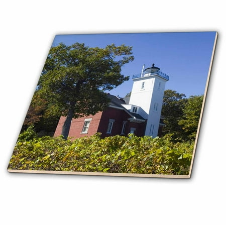 Forty Eight Inch Downrod - 3dRose MI, Lake Huron, Forty Mile Point Lighthouse - US23 WBI0162 - Walter Bibikow - Ceramic Tile, 8-inch