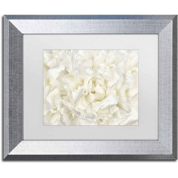 Trademark Fine Art 'White Peony Flower' Canvas Art by Cora Niele, White Matte, Silver Frame