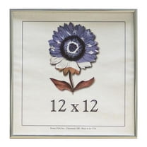 Frame USA Metal I 12-inch x 12-inch Picture Frame
